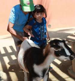 Little girl with goat