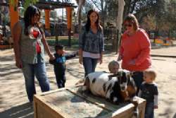 Visitors at Muriel's Ranch