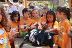 LA ZooCamp kids love Muriel's Ranch